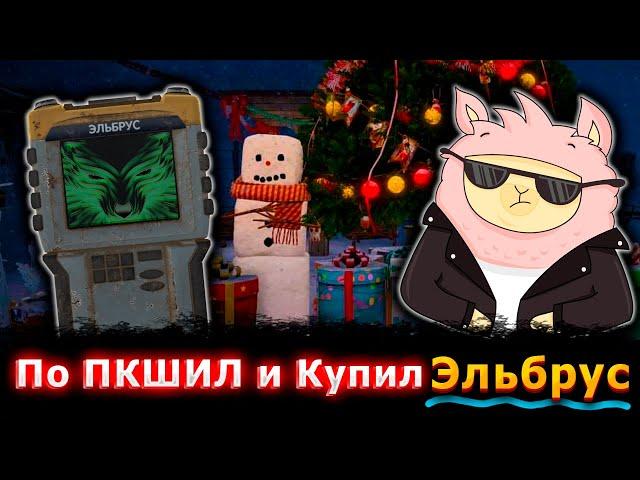 Купил ЭЛЬБРУС за 2 ДНЯ ПК в СТАЛКРАФТ! | STALCRAFT:X