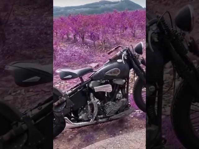 It's the COLORS!! 1936 knucklehead Bobber!! #adventure #travel  #knucklehead ##harleydavidson