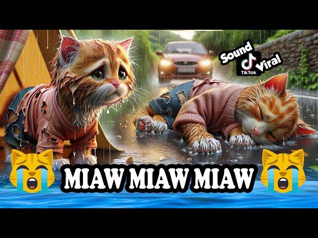 Miaw miaw miaw miaw Song sad story of a cat without a home FULL.. #cat #aicat #catlover #cats