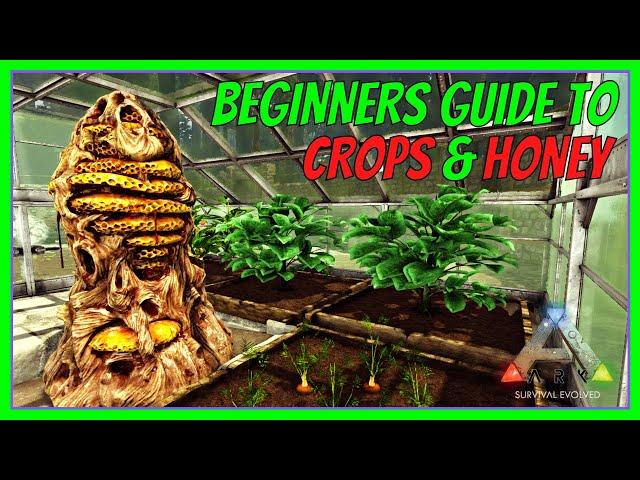 GREENHOUSE, CROPS & HONEY | Beginners Guide | ARK: Survival Evolved 2022 | The Island [S1 E7]