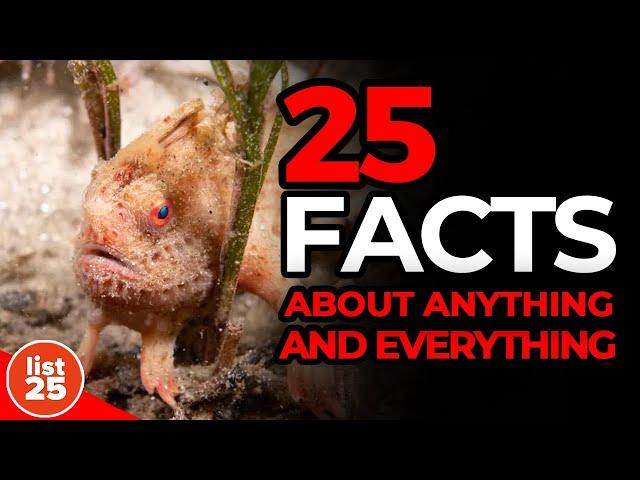 25 Facts About... Anything & Everything