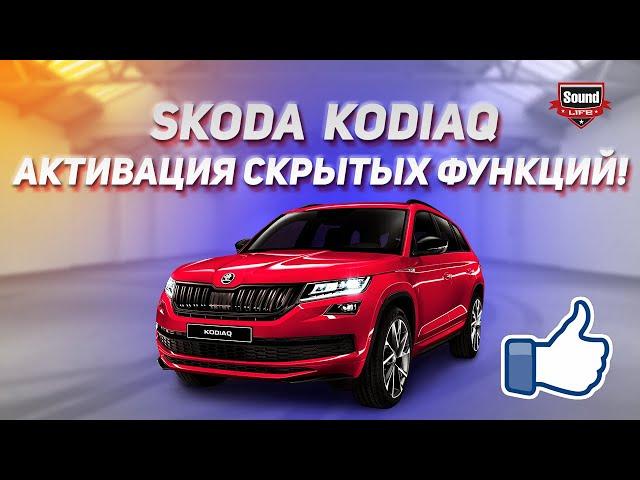 Skoda Kodiaq Активация Скрытых Функций