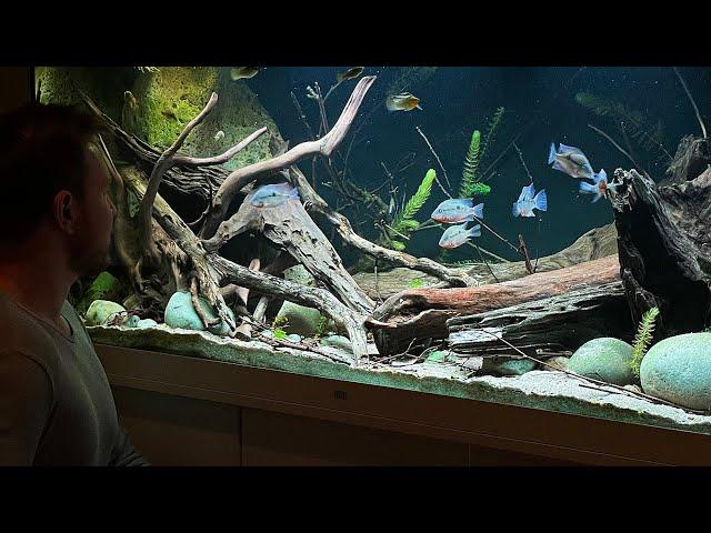 WORLD CHAMPION BIOTOPE AQUASCAPES - DEEP DIVE