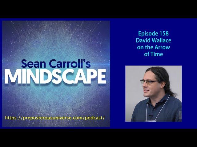 Mindscape 158 | David Wallace on The Arrow of Time