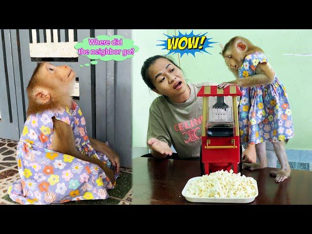 Monkey Lyly excitedly makes popcorn with her mother when she is bored because no one plays with her