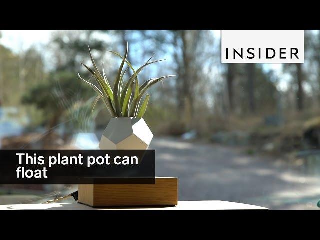 This plant pot can float