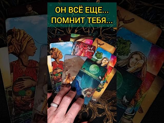 УЗНАЙ️ ПОМНИТ О ТЕБЕ ЗАГАДАННЫЙ ЧЕЛОВЕК ИЛИ НЕТ??? расклад таро #shorts #раскладтаро #таро