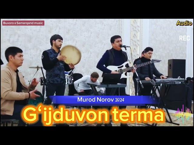 Gʻijduvon terma 2024 / гиждувон терма (Audio) Murod Norov Toʻybop