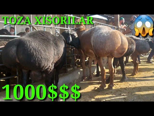 БУНАКА БОЗОР БОМАГАН. КОМБИНАТ КОЙ БОЗОРИ