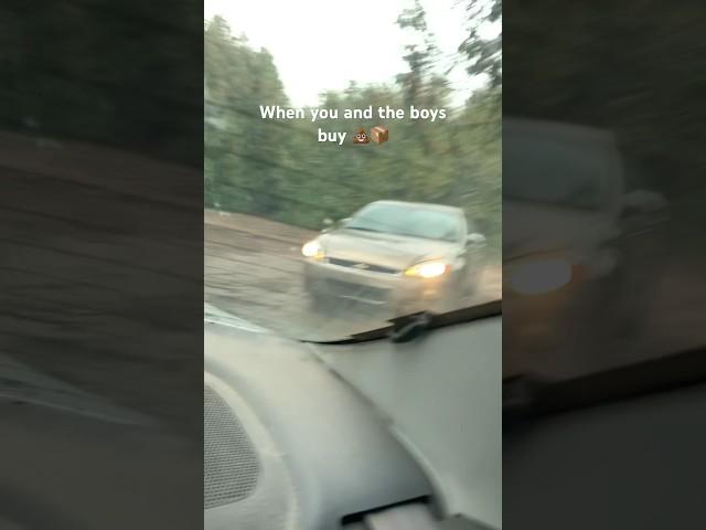Dirt rally