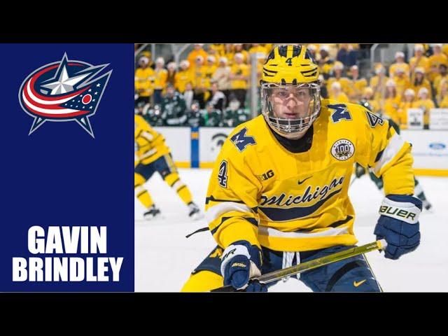 NHL Prospects : Gavin Brindley - 23-24 Highlights