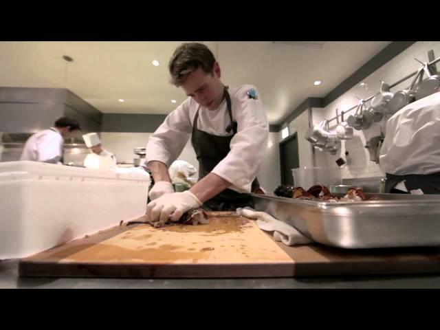 21st Century Ltd: Alinea and Eleven Madison Park