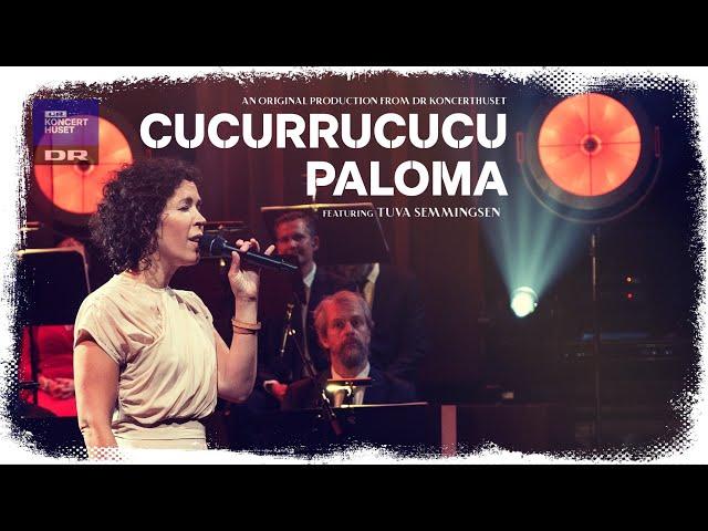 CUCURRUCUCU PALOMA // Tuva Semmingsen (LIVE)