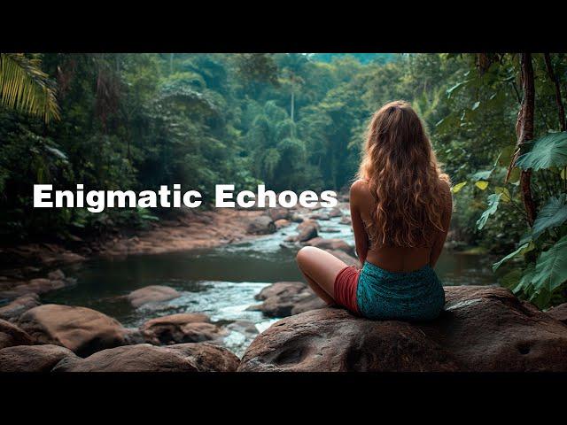 Relaxing Hang Drum Mix  Enigmatic Shofik-Enigmatic Echoes