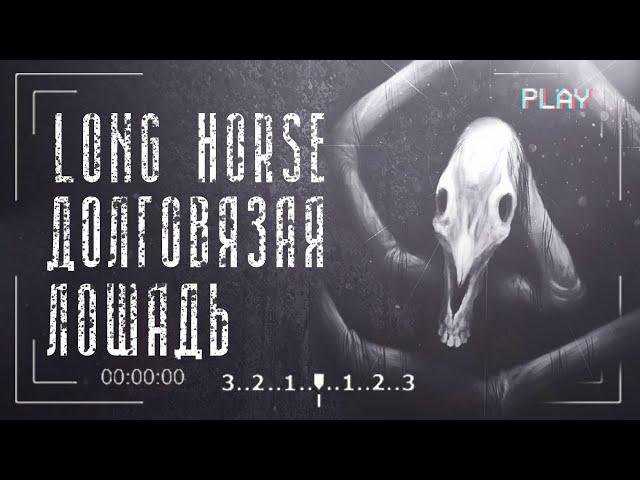 Все факты о долговязой лошади | long horse