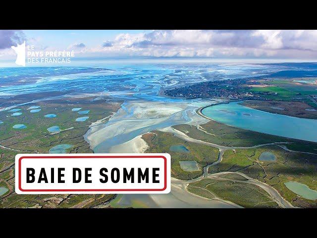 The Bay of Somme: The seal estuary  - 1000 Countries in one - Travel Documentary - MG