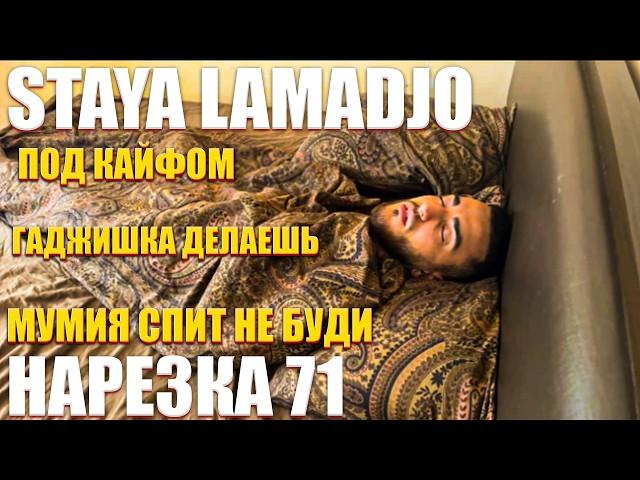 STAYA LAMADJO НАРЕЗКА 71 | ИЗМЕНА | ЧТОЛИ | КИК ИЗ СТАИ