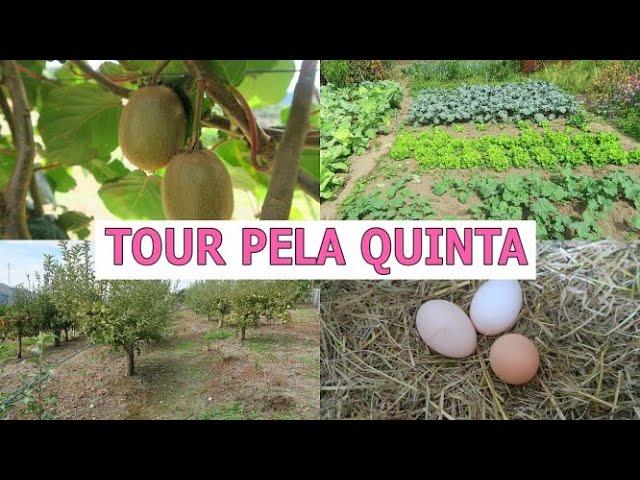 UM POUCO DA QUINTA ONDE VIVO! video 13