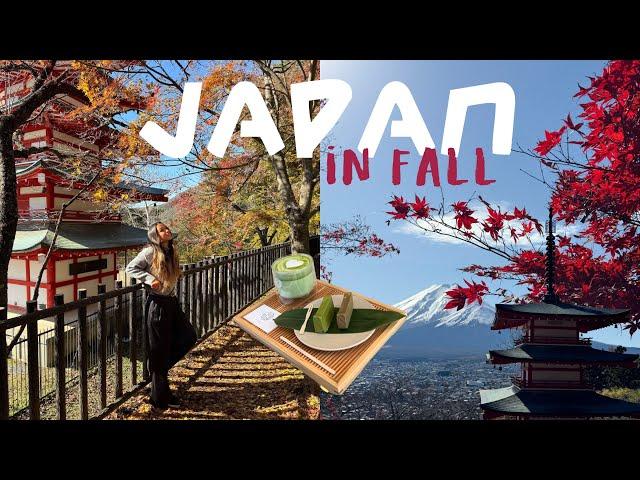 Japan in fall | Tokyo, Mt. Fuji + Kamakura 