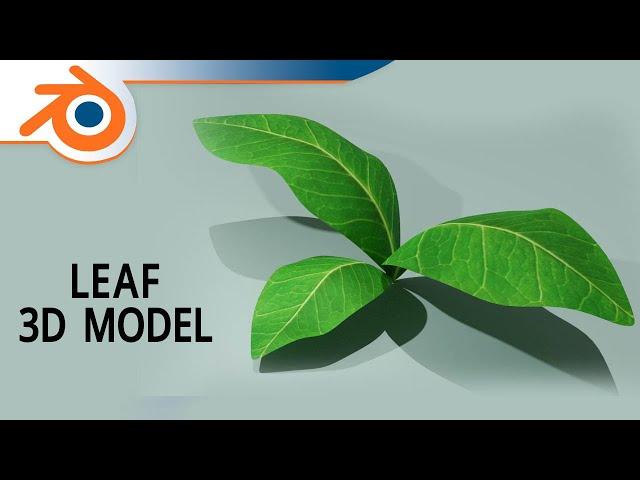 Leaf 3D Model - Blender 3D Tutorial