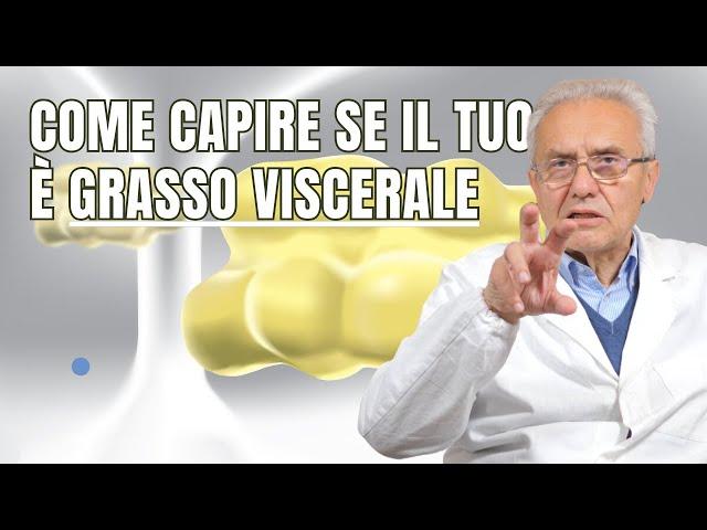 Come capire se il TUO è GRASSO VISCERALE!