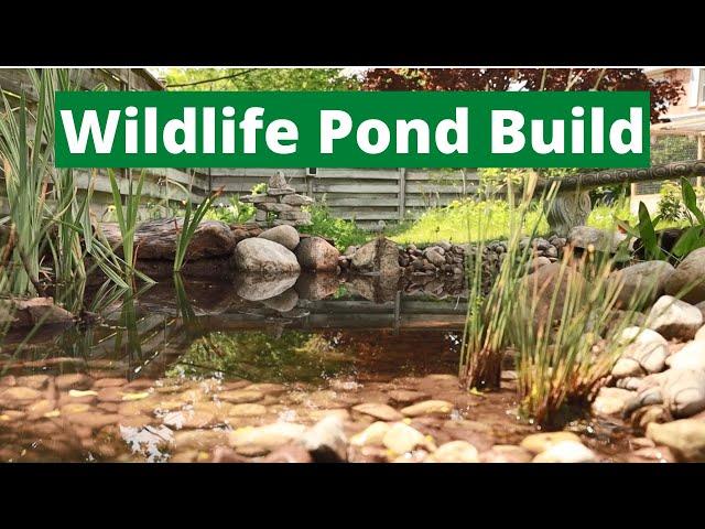 Building a Wildlife Pond with Ontario Native Plants