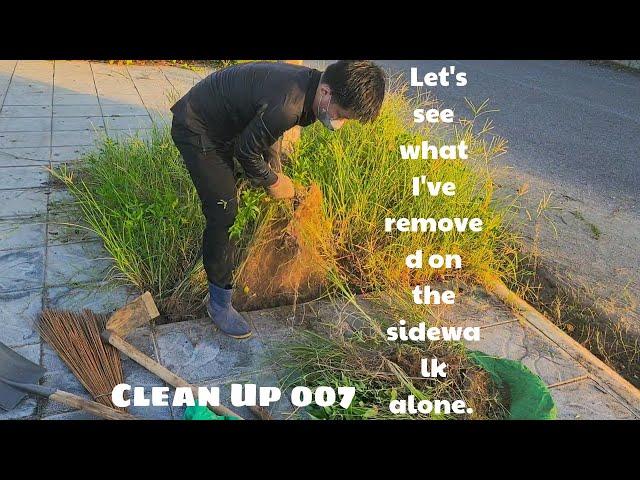 Removing vegetation from the sidewalk   with rudimentary tools .clean Up 007