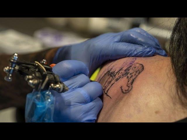 Amsterdam's Rembrandt House Museum transforms into tattoo parlour