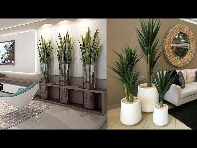 100 Modern indoor plants decor ideas 2023