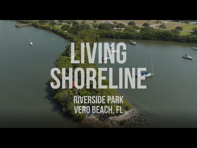 Living Shoreline at Riverside Park, Vero Beach, FL