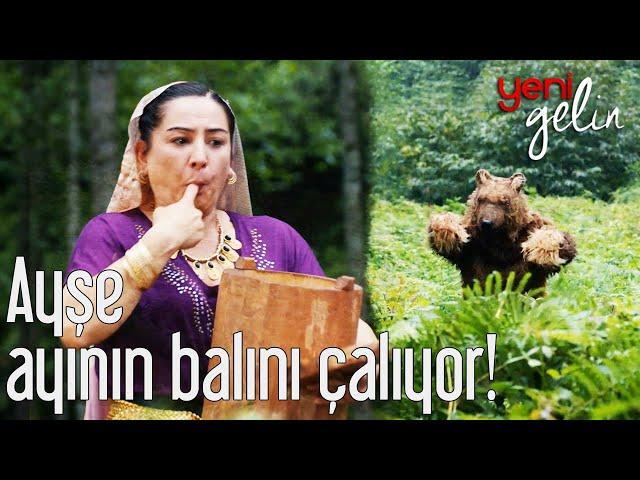 Ayşe Ayının Balını Çalıyor! - Yeni Gelin