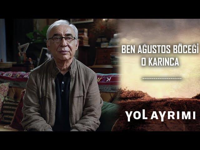 Yol Ayrımı | Ben Ağustos Böceği O Karınca