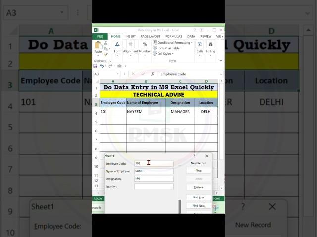 Data Entry in MS Excel