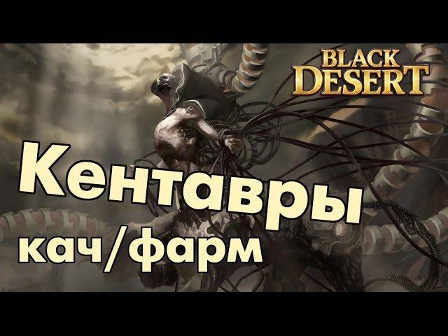 Black Desert (RU) - Кентавры 59+ фарм пояса и дорогих камней / Заработок серебра