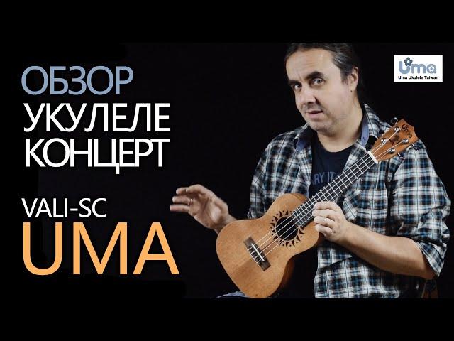 Обзор укулеле концерт UMA VALI-SC | Укулеле.ру