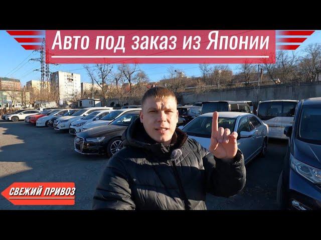 СВЕЖИЙ ПРИВОЗ️ 13.12.2024️АВТО ПОД ЗАКАЗ ИЗ ЯПОНИИ️#автоподбор #автоподзаказизяпонии