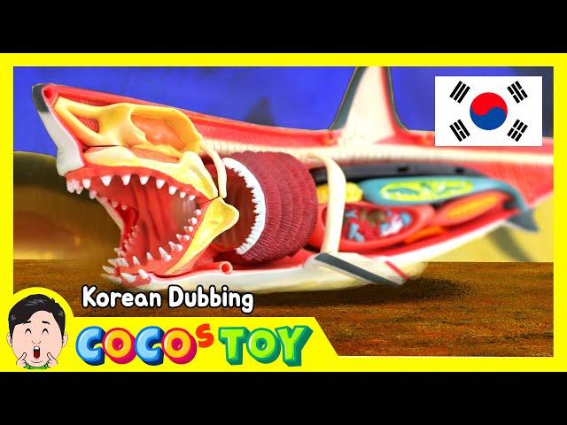한국어 더빙｜우리는 메갈로돈을 구조했다｜생명 탐구, 메갈로돈 해부｜꼬꼬스토이