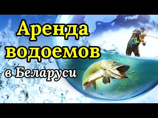 Аренда водоемов в Беларуси. Права и Обязанности. Новые Правила Рыболовства в Беларуси 2022-2023