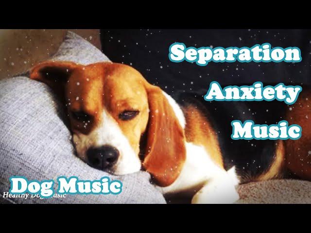 Music for Dogs: Gentle Songs to Promote Sleep, Cure Depression!