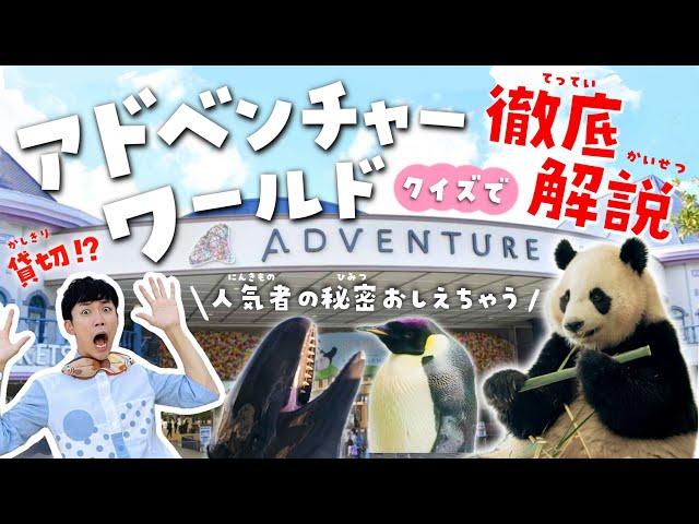 休園日に潜入！アドベンチャーワールドが100倍楽しめる動物園&水族館ツアー！パンダ・サファリ・イルカショーの秘密を徹底解説