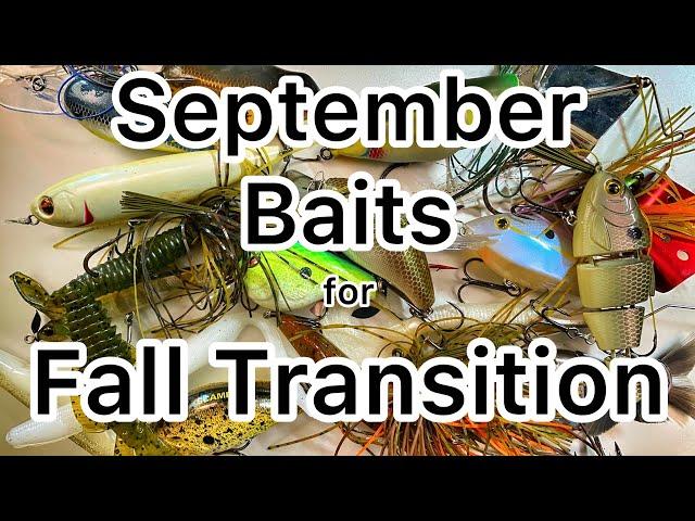 The Baits to Use in September - Bass Fishing - Fall Transition