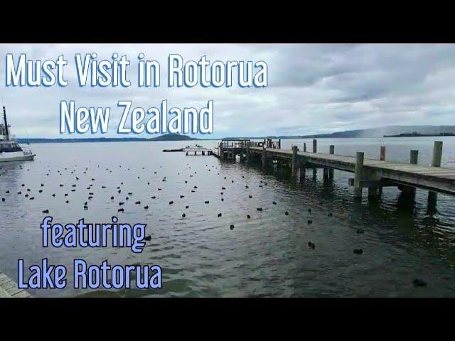 Lake Rotorua New Zealand | Free things to do in Rotorua