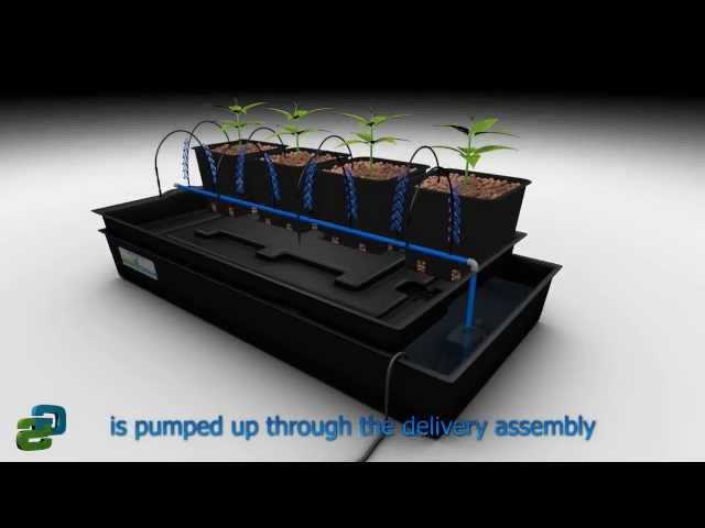 Atami Wilma Hydroponic System