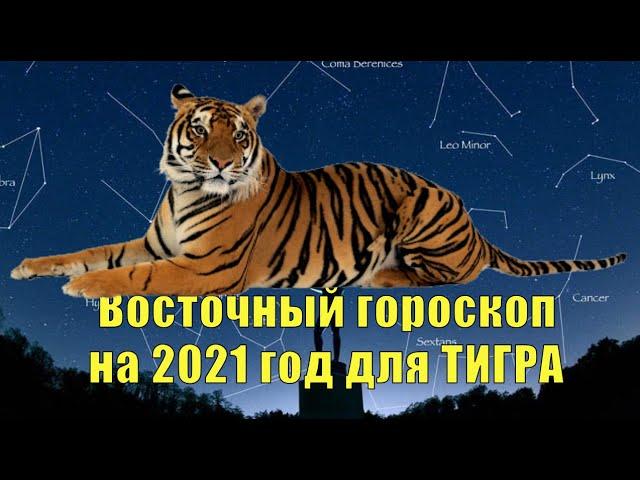 Восточный гороскоп на 2021 год для Тигра.