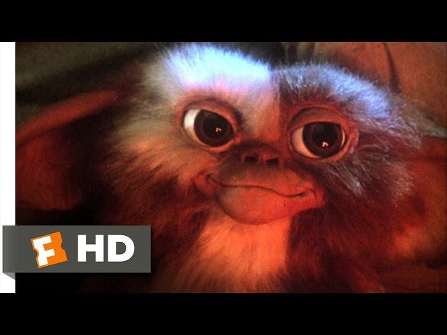 Gremlins (1/6) Movie CLIP - Billy Meets Gizmo (1984) HD