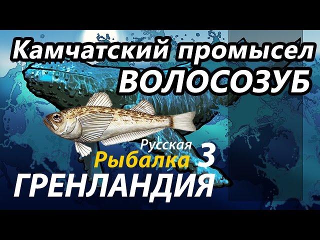 Камчатский промысел Волосозуб / РР3 [Русская Рыбалка 3 Гренландия]