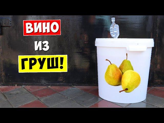 ОЧЕНЬ ВКУСНОЕ ВИНО из ГРУШ!!! Простой Рецепт Рецепт Грушевого Вина в домашних условиях / Pear Wine