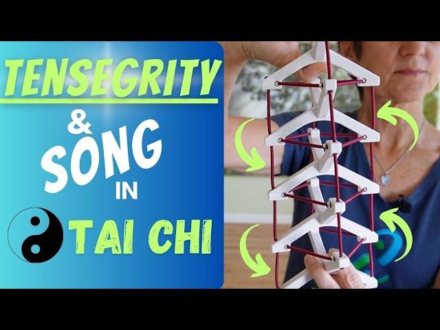 Tai Chi, Song and Tensegrity; How to Build an Internal Structure in Tai Chi