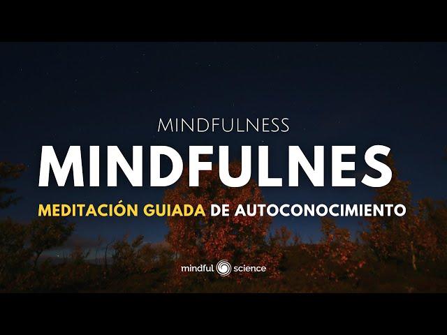  Reencuéntrate Contigo  | Meditación Guiada de Autoconocimiento  Haz una pausa ‍️ #mindfulness