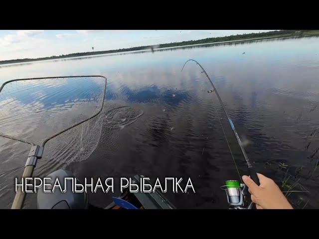 Нереальная рыбалка или что могло пойти не так #рыбалка #щука #спининг #fishing #pike #pikefishing